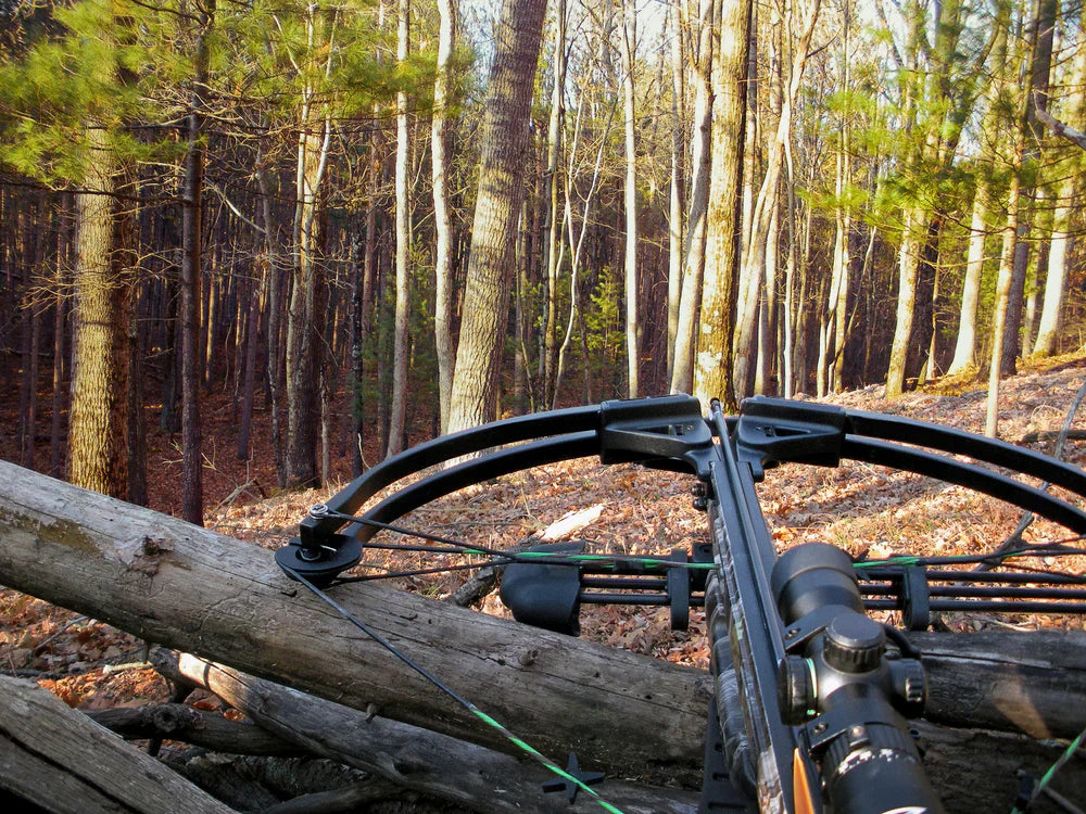 Crossbow with scope