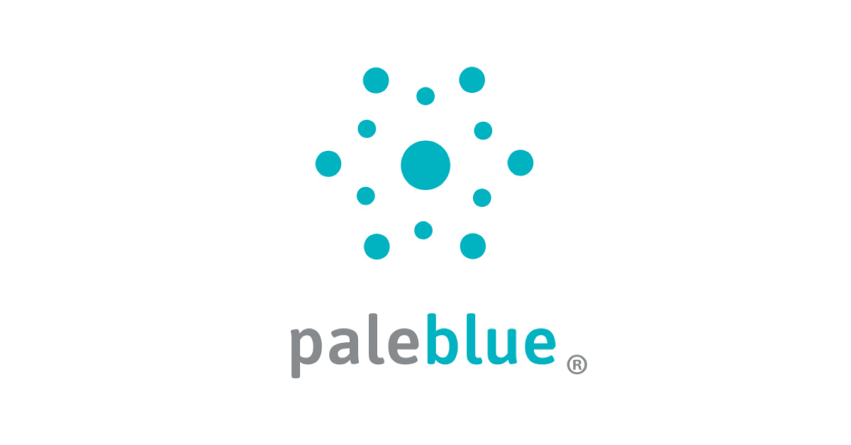 Pale Blue Earth - Piles rechargeables AA USB-C (4x) - Lithium - charge plus  légère