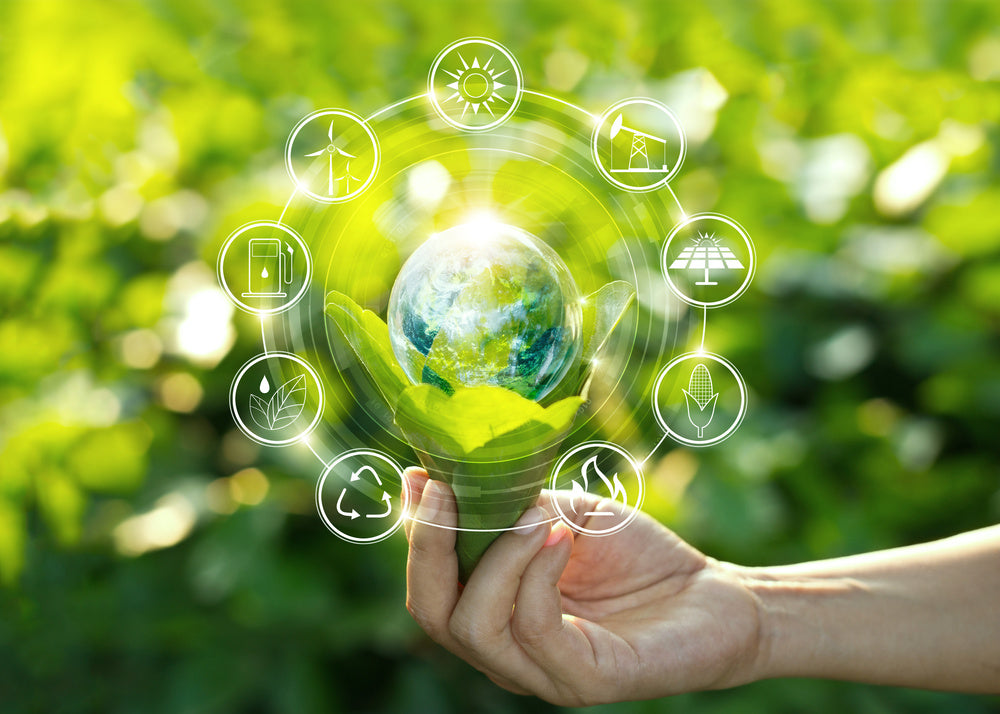 5 Reasons Sustainability Still Matters in 2023