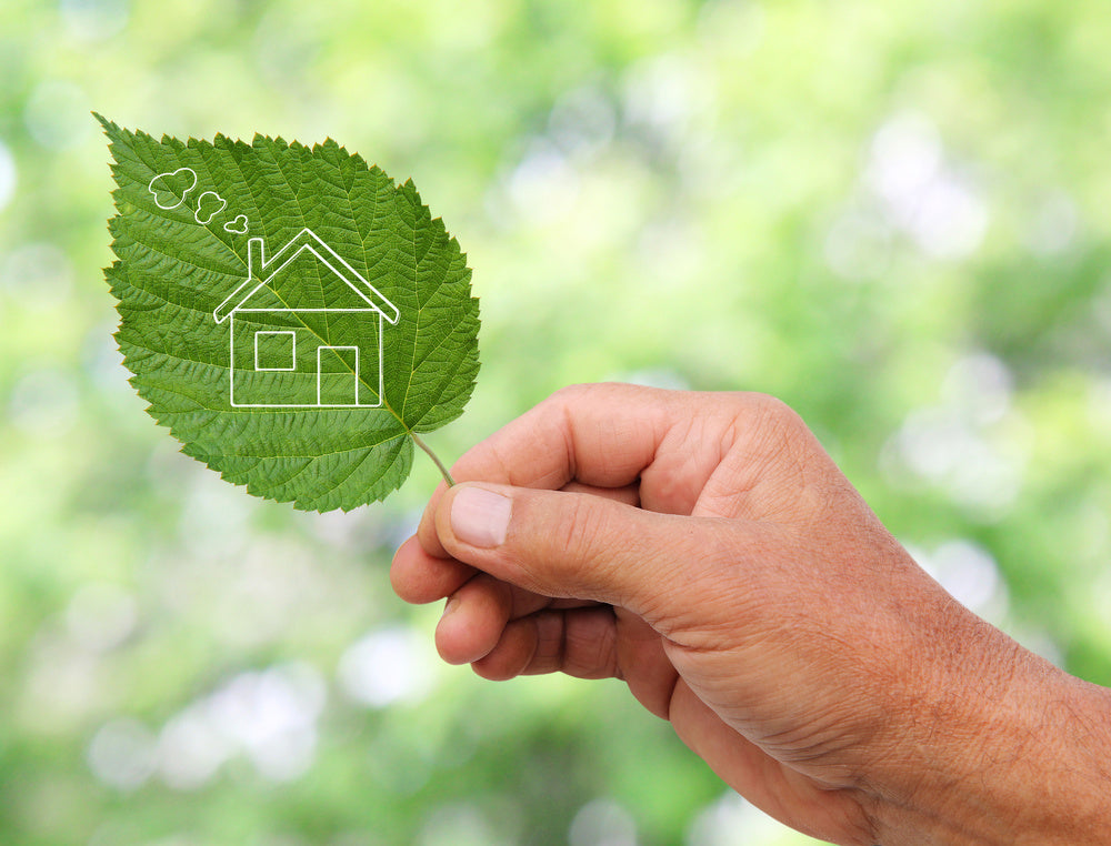 Sustainability Resolutions - House outline on green leaf - Pale Blue Earth