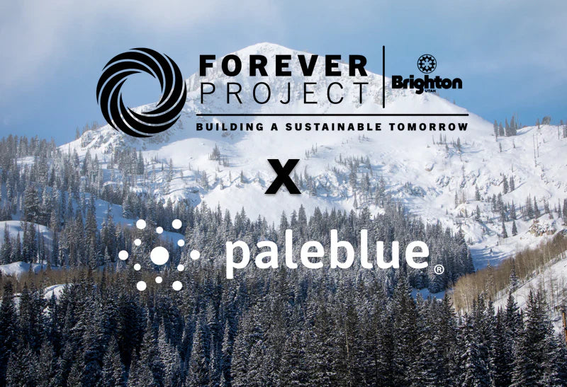 Project Forever Brighton