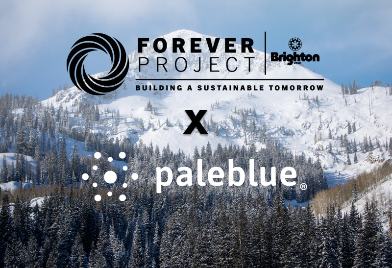 Pale Blue Earth x Brighton Resort Forever Project