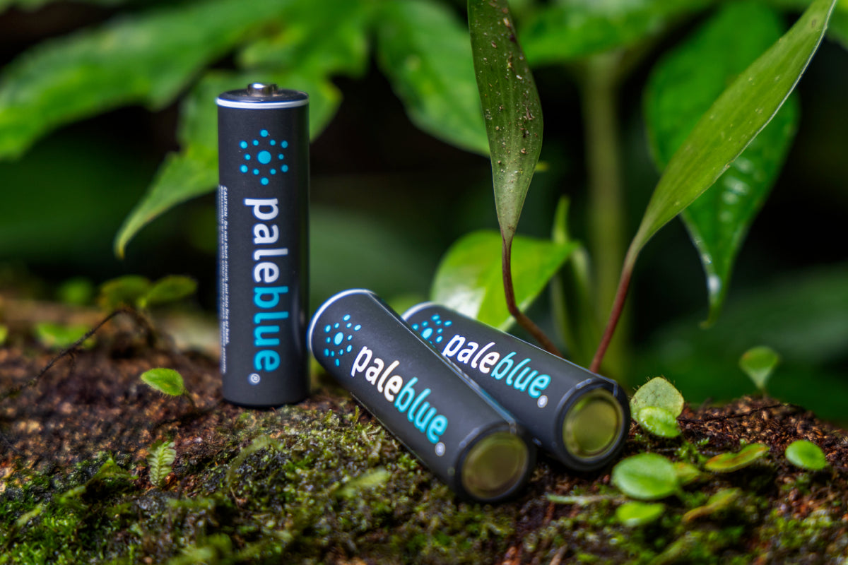 Paleblue rechargeable batteries