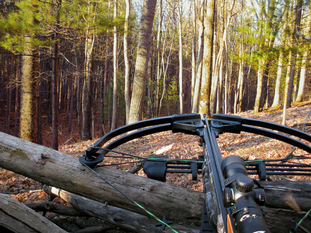Hunting Scope Batteries: Different Types for Different Scopes