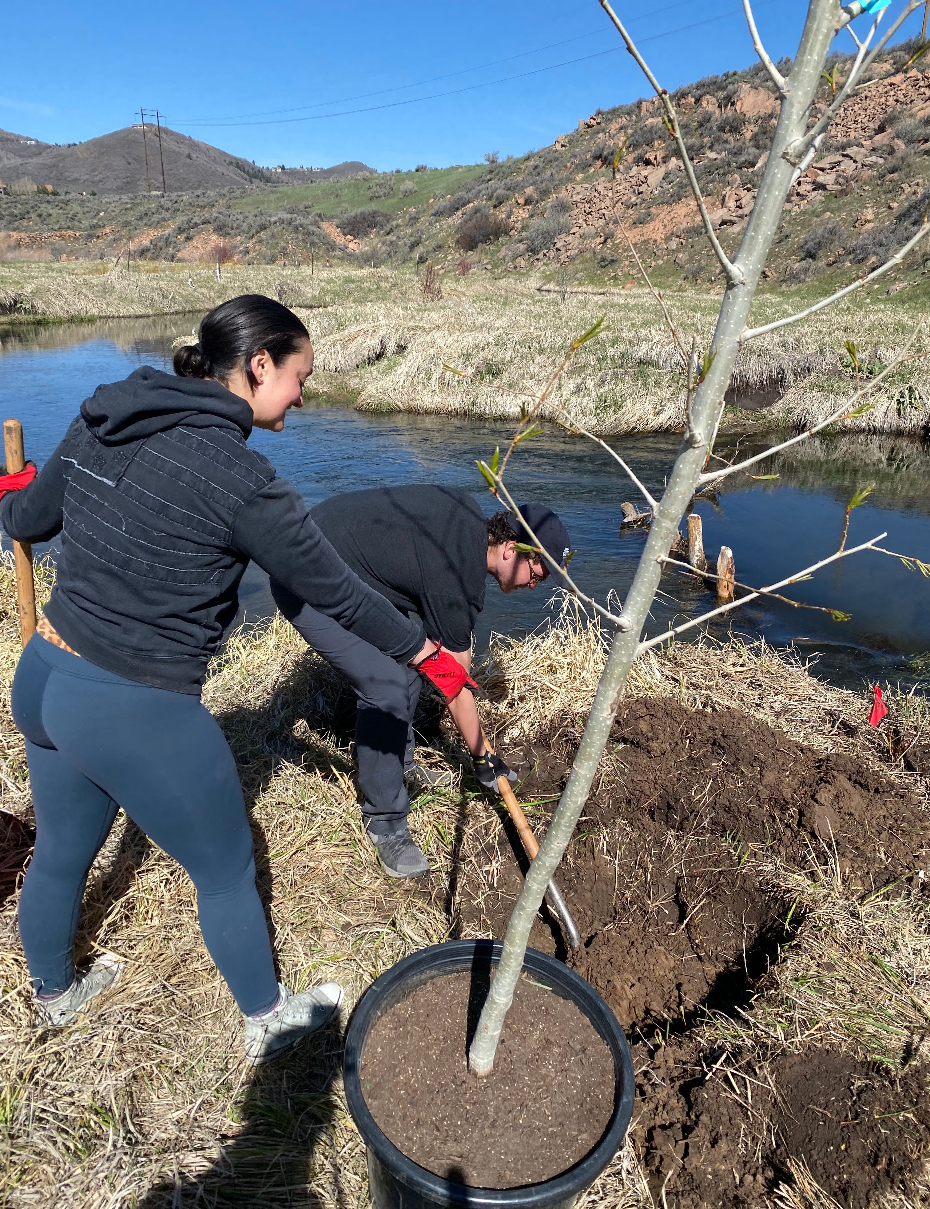 Swaner Preserve Tree Planting