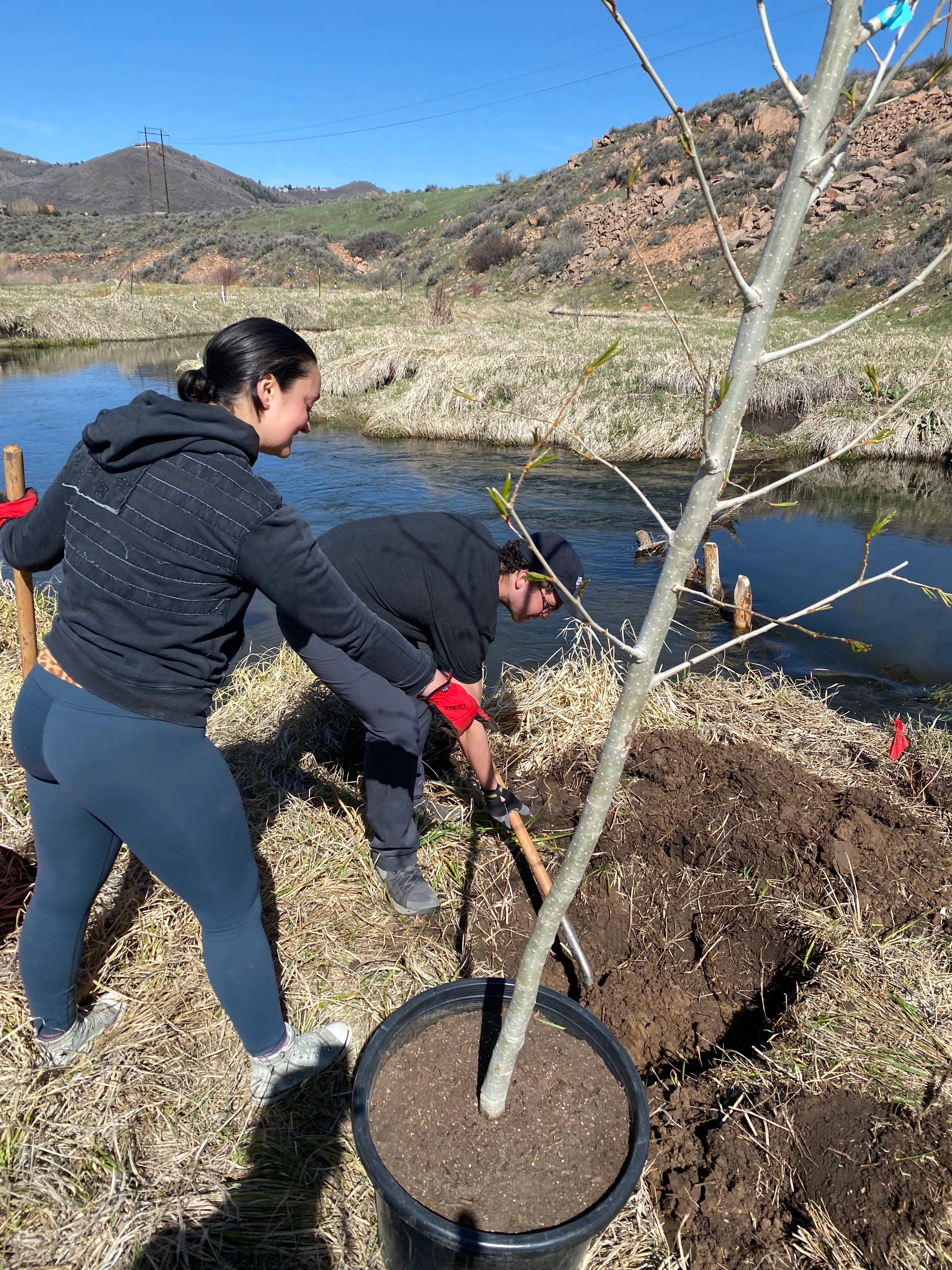 Swaner Preserve Tree Planting