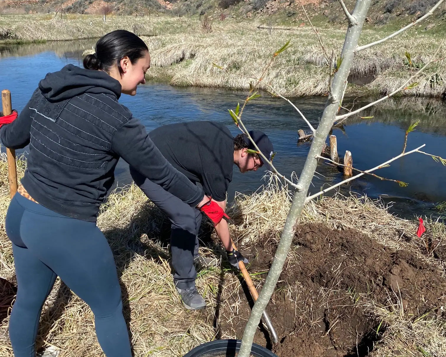 Swaner Preserve Tree Planting