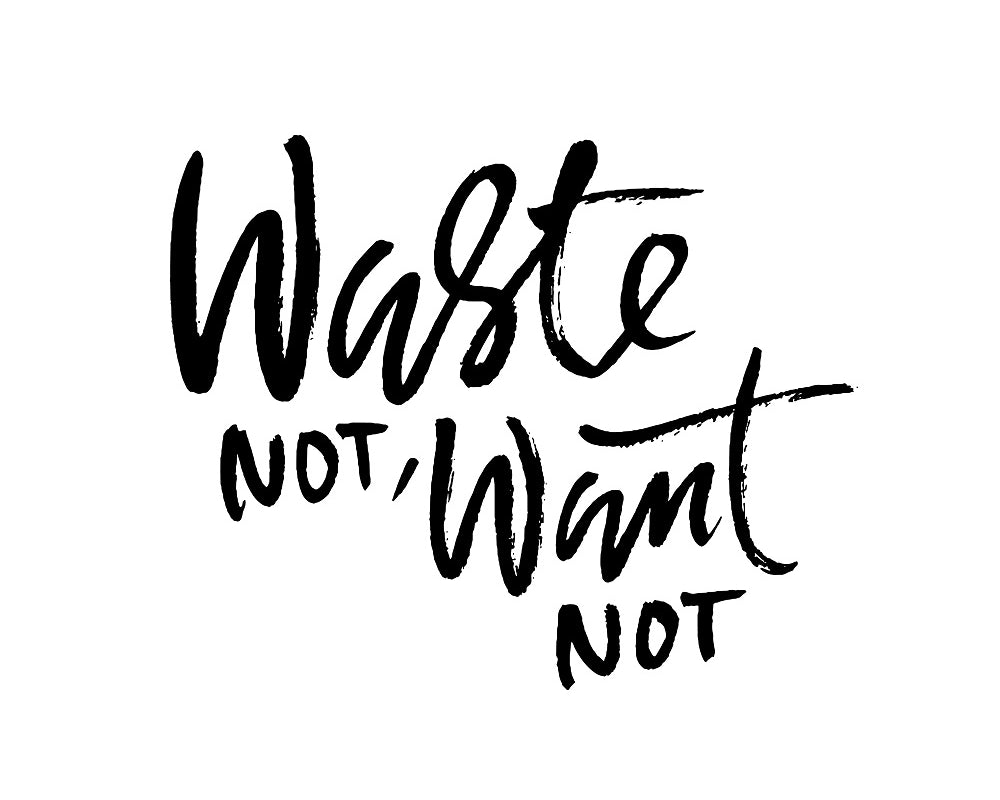 waste not want not