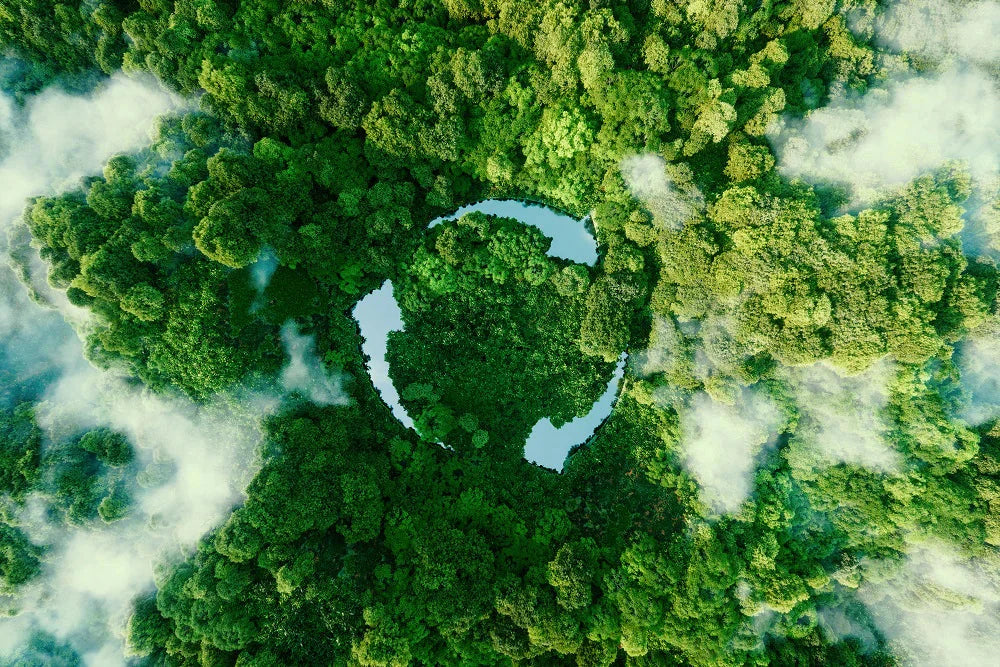 Recycling in nature