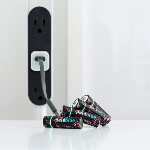paleblue's lithium ion batteries