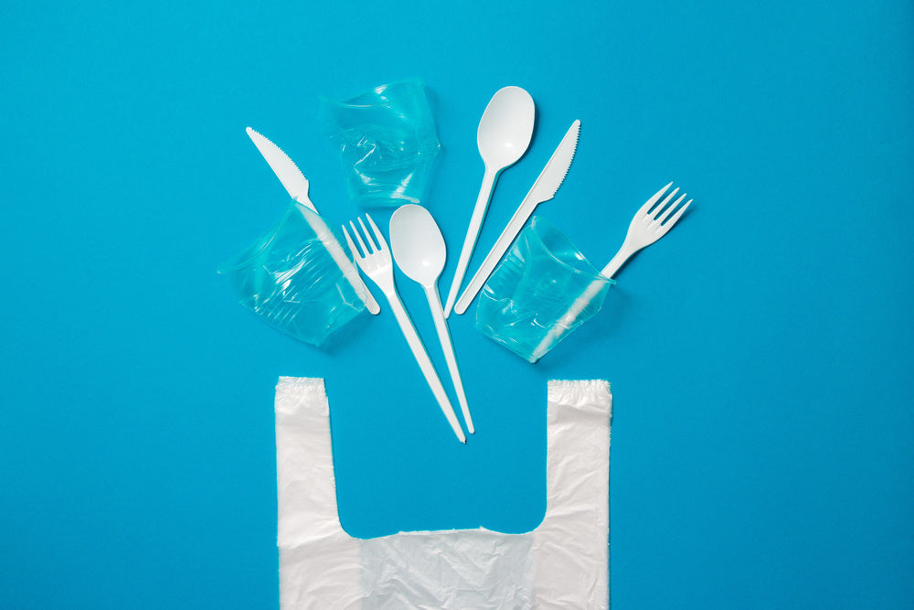 What Single Use Plastics and Disposable Batteries Have in Common