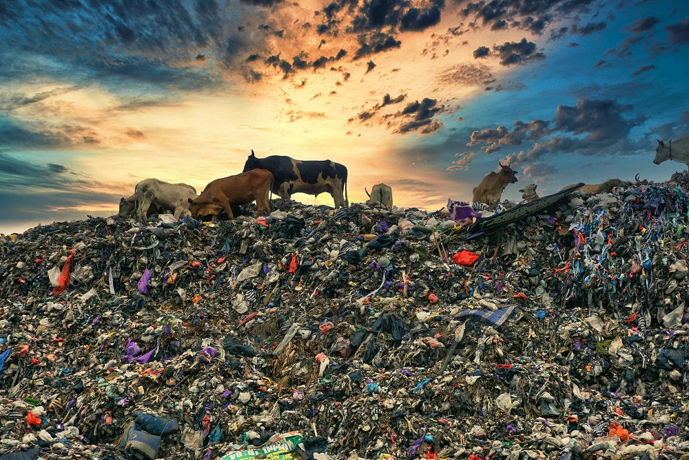 batteries in landfill