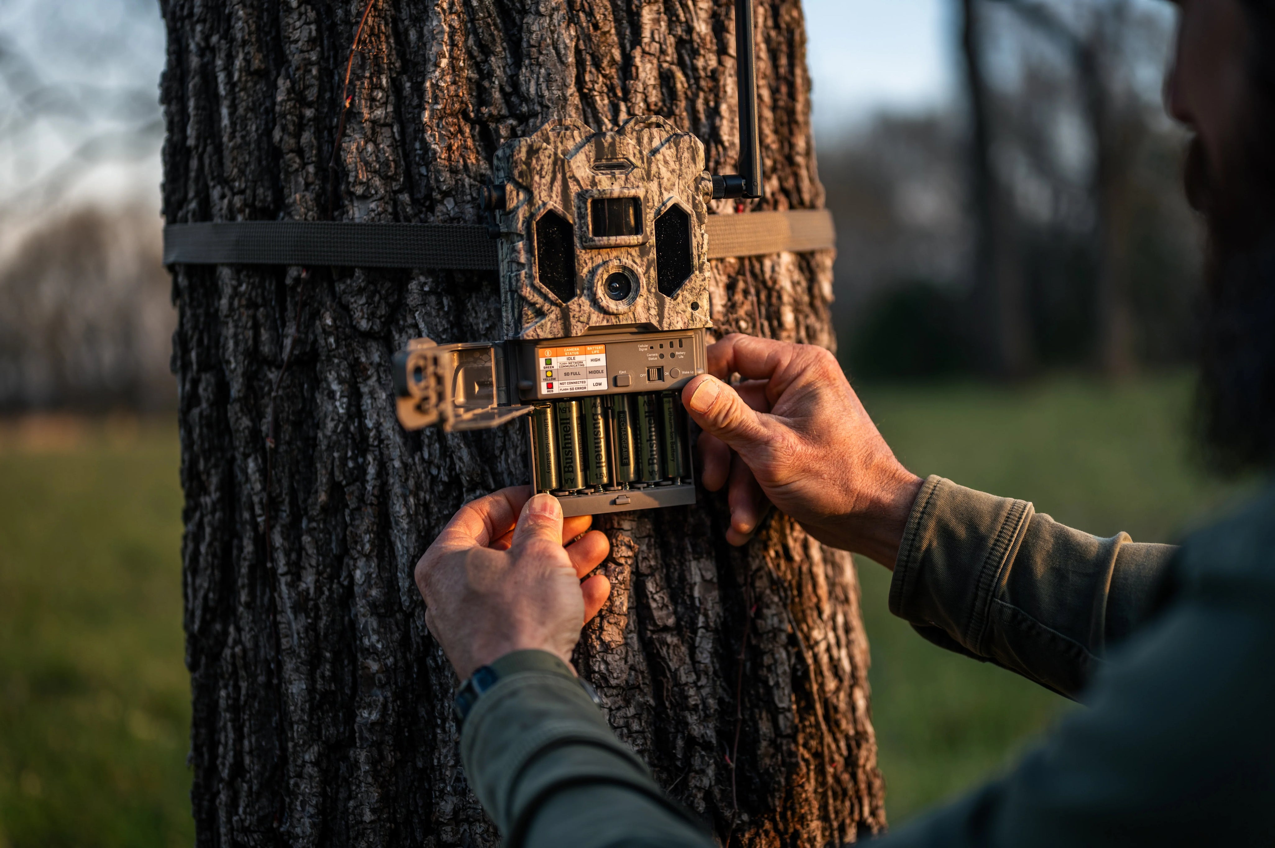 rechargeable batteries in trail camera