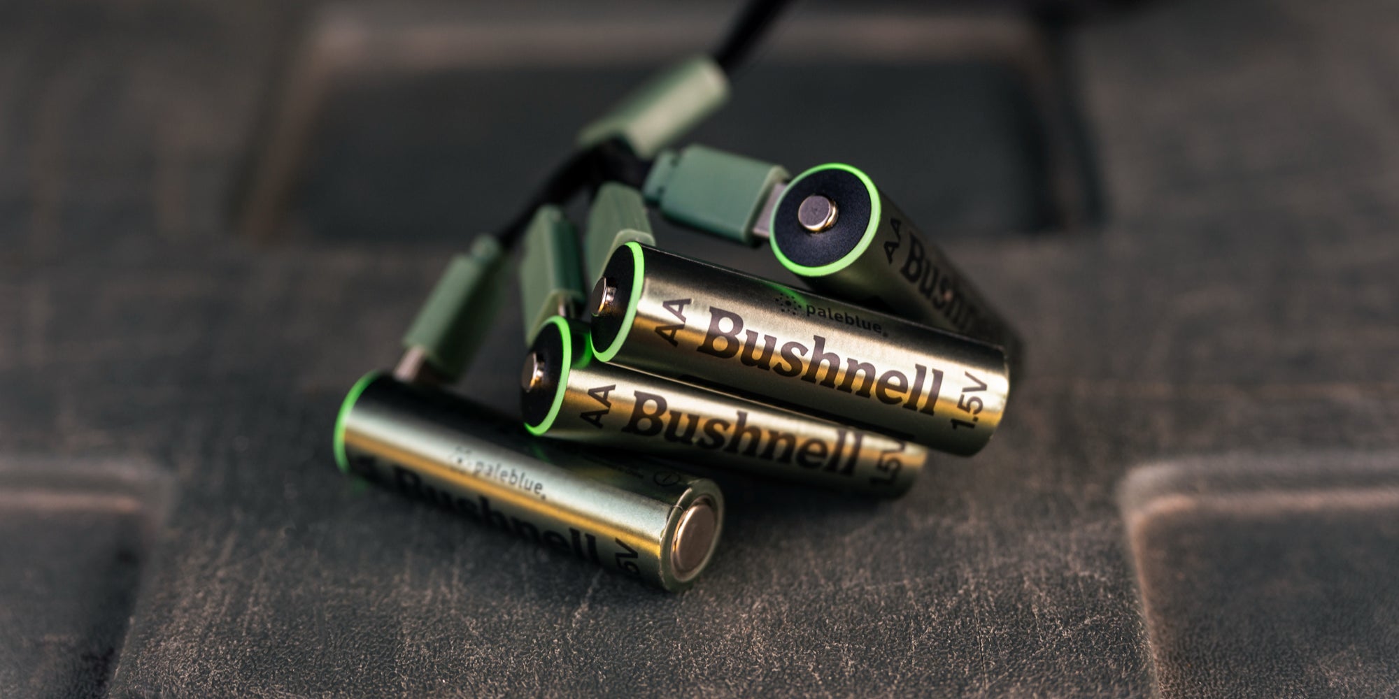 Bushnell_Banner.webp