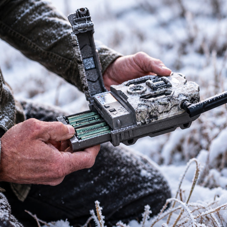 Cold_Weather_Bushnell.webp