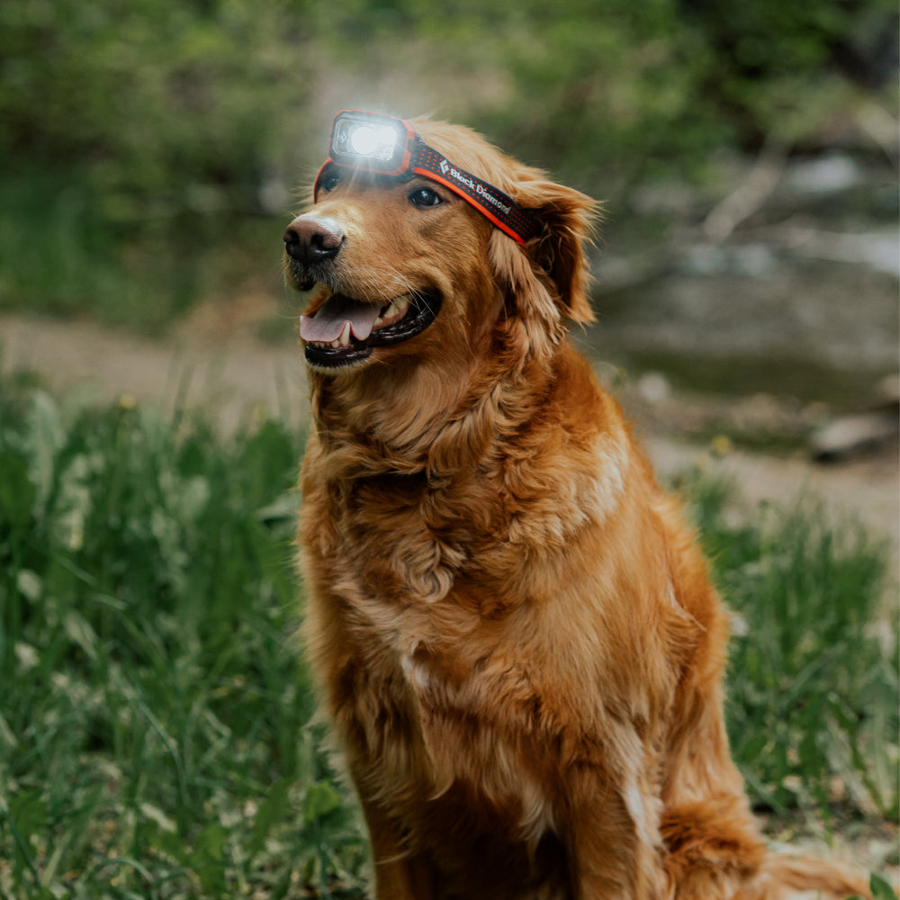 Headlamp_Comparison.jpg