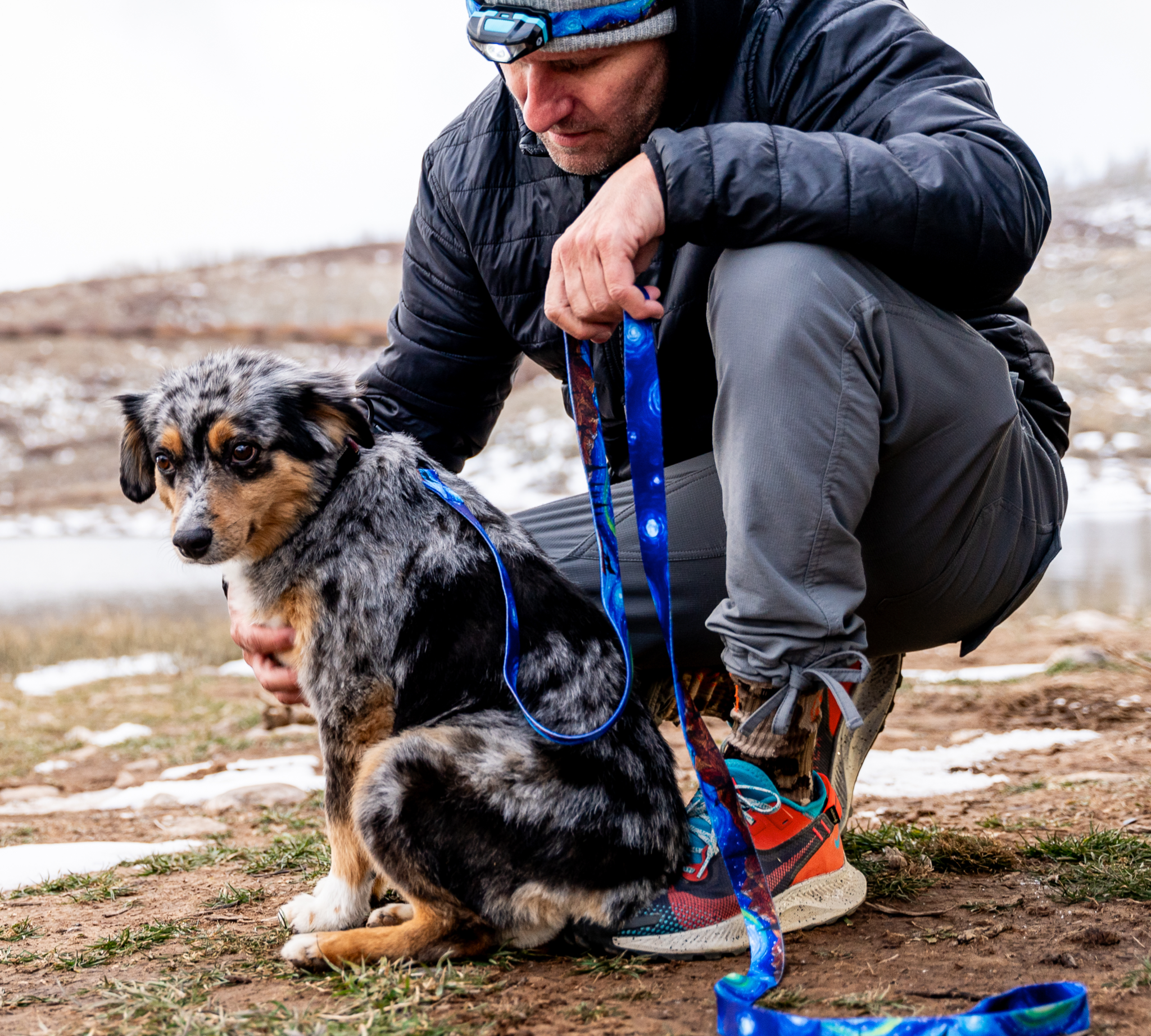 StarryWolf Dog Walking Kit