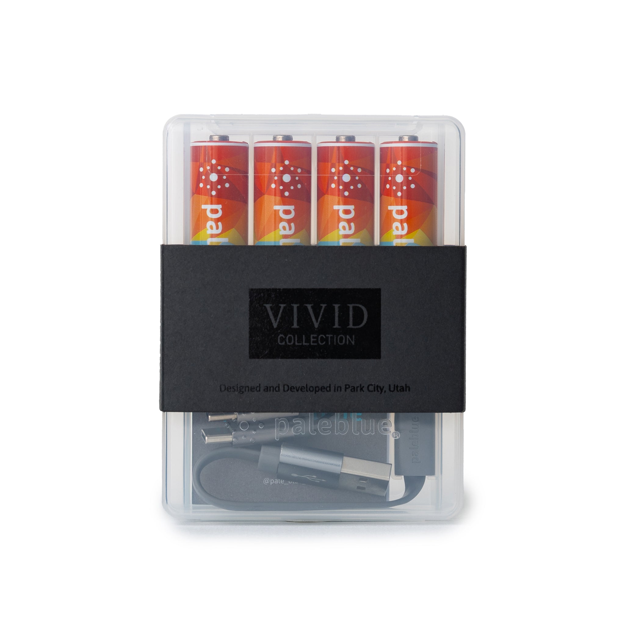 VIVID Geometric AA USB-C