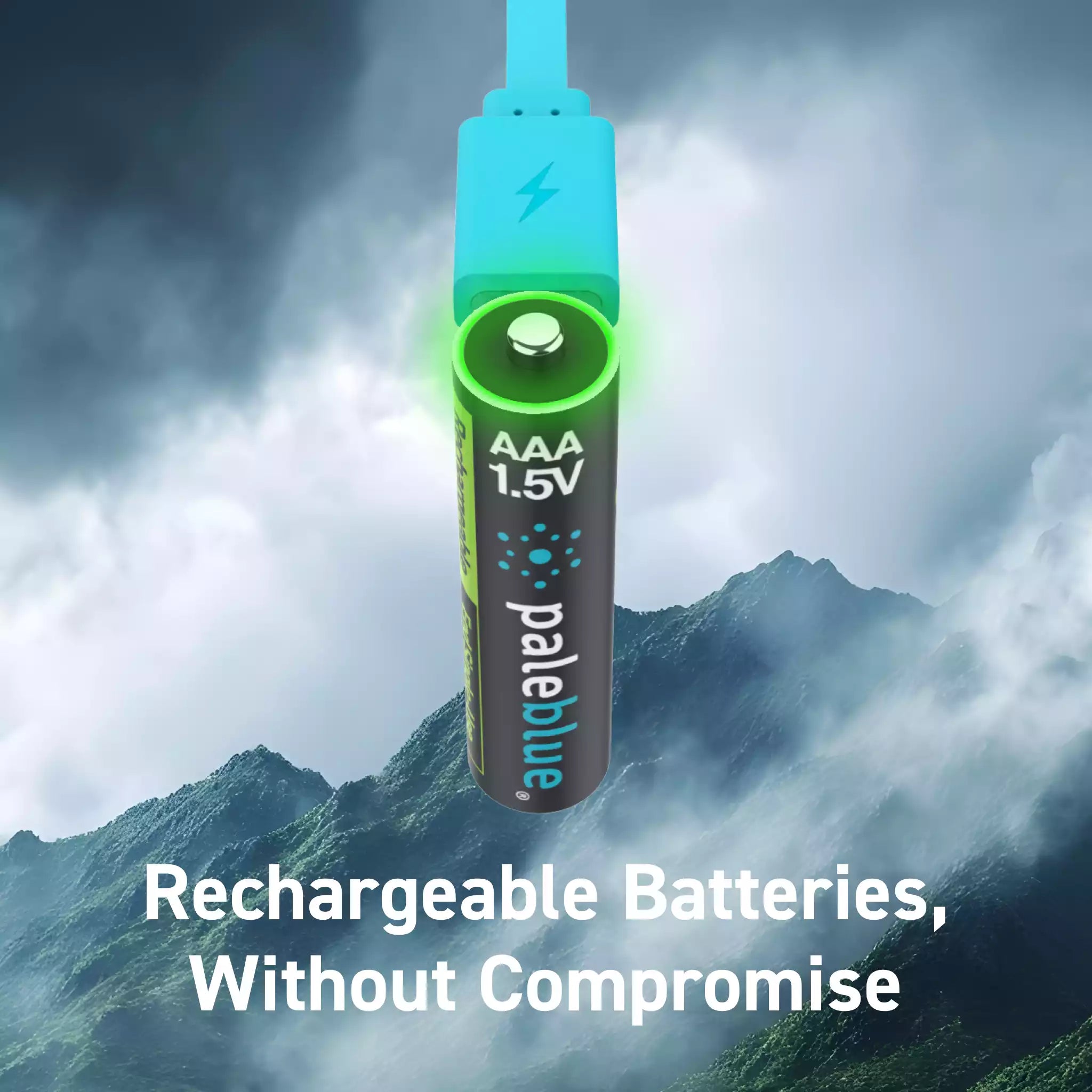 Voyager AAA USB-C Rechargeable Batteries