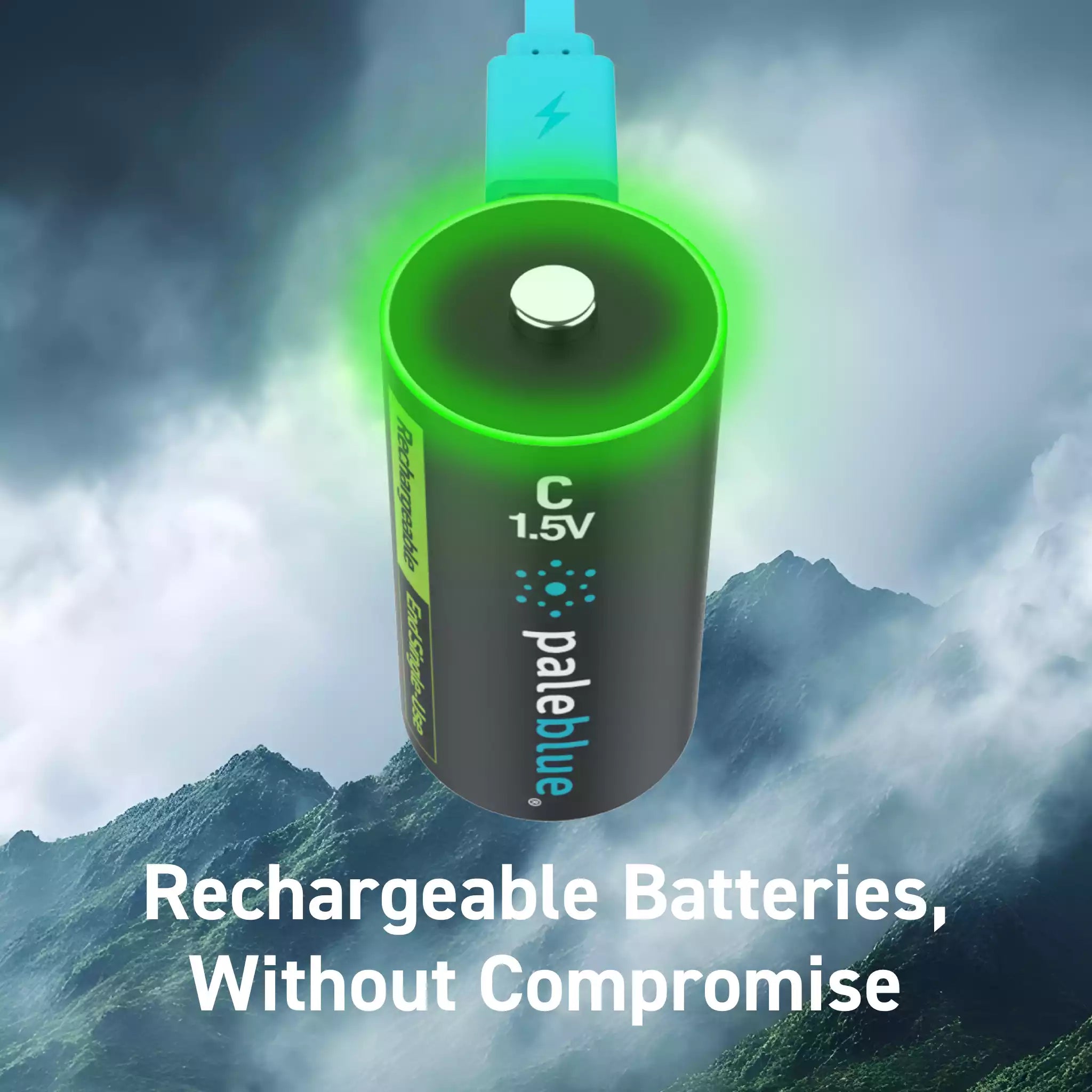 Voyager C USB-C Rechargeable Batteries