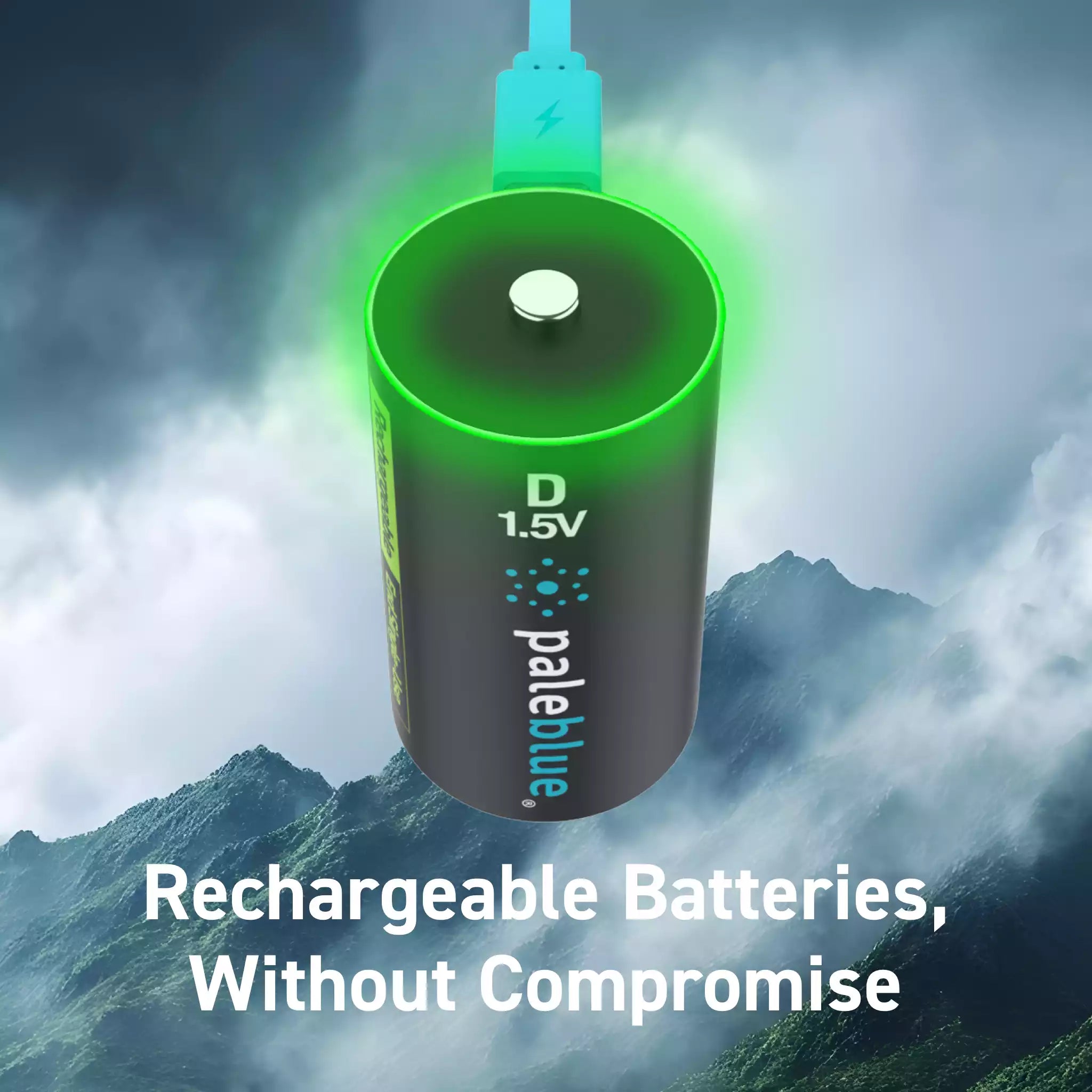 Voyager D USB-C Rechargeable Batteries