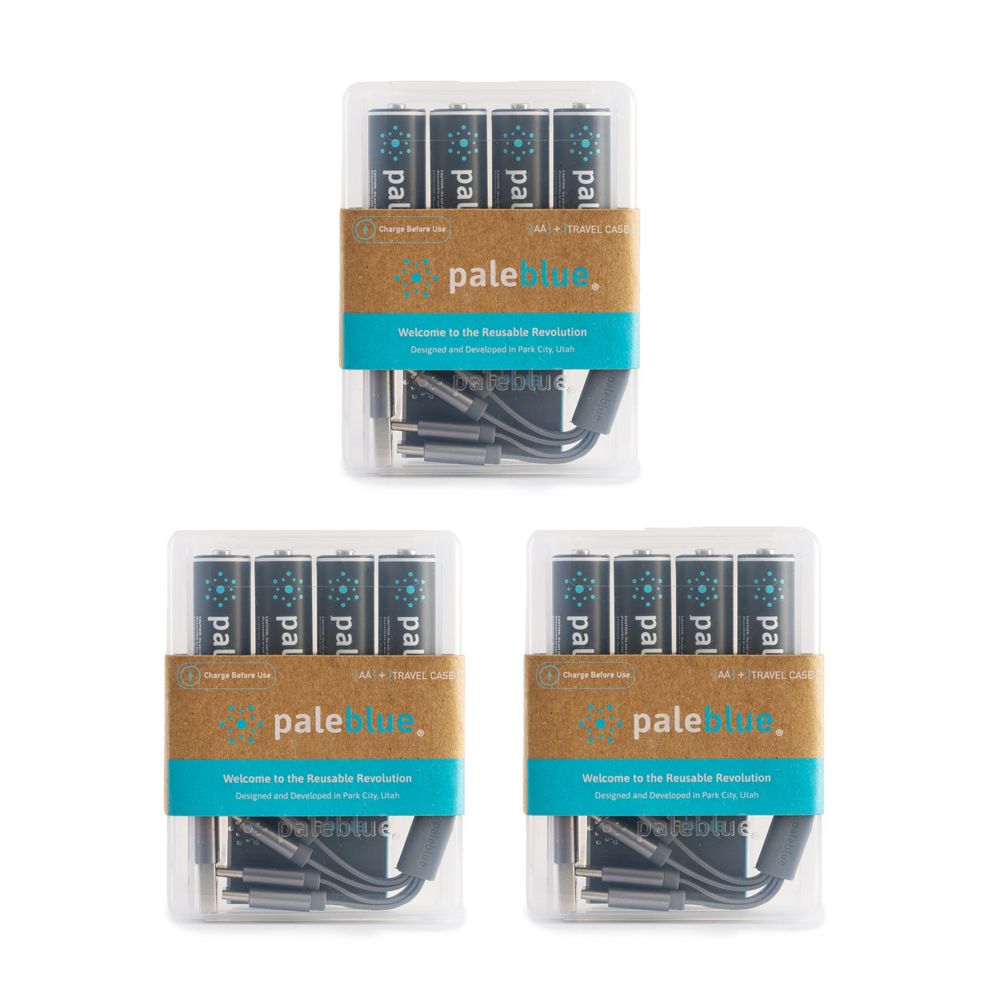 Pale Blue Earth AA USB Rechargeable Smart Batteries 12 Pack